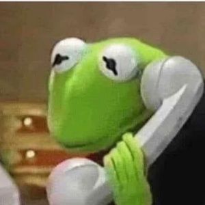 Meet your Posher, Lynn